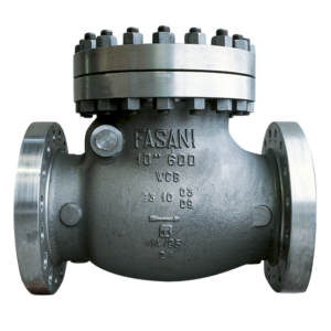 https://Rongttai.com/wp-content/uploads/2024/06/Fasani_bolted_bonnet_check_valve-Copy-1-300x300.png