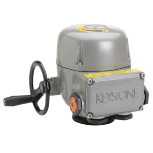 https://Rongttai.com/wp-content/uploads/2024/06/Keystone_EPI_2-300x300.png