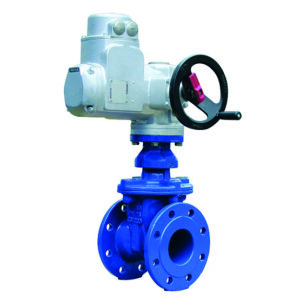 https://Rongttai.com/wp-content/uploads/2024/06/eko_plus_long_electric_actuator-300x300.jpg