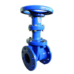 https://Rongttai.com/wp-content/uploads/2024/06/eko_plus_rising_stem-300x300.jpg