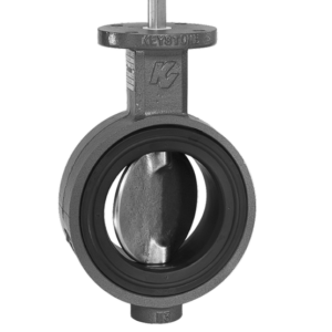 https://Rongttai.com/wp-content/uploads/2024/06/figure_9_butterfly_valve-300x300.png